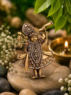 Divine Shrinathji Antique Gold Stone Brooch